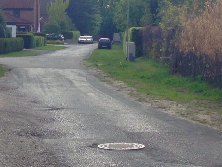 Der Starenweg als Grünzug: unser Antrag