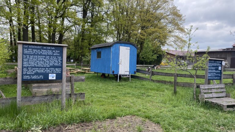 Biolandbau erleben auf Gut Wilhelmsdorf