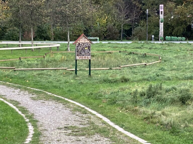 Die Bürmsche Wiese neu denken!