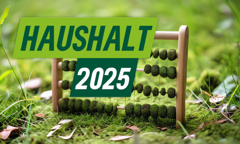 Haushalt 2025: Das sind unsere Anträge